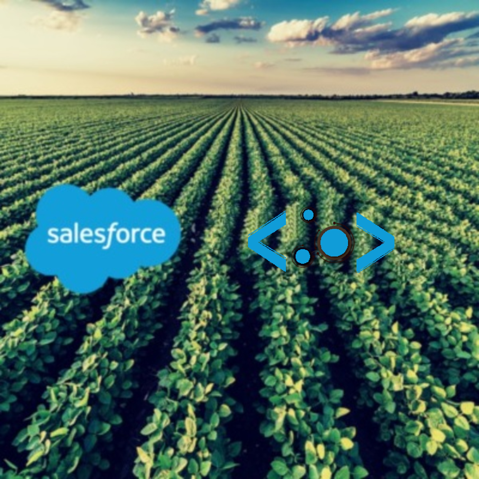 Salesforce Agriculture